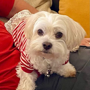 Meet your Posher, Jan